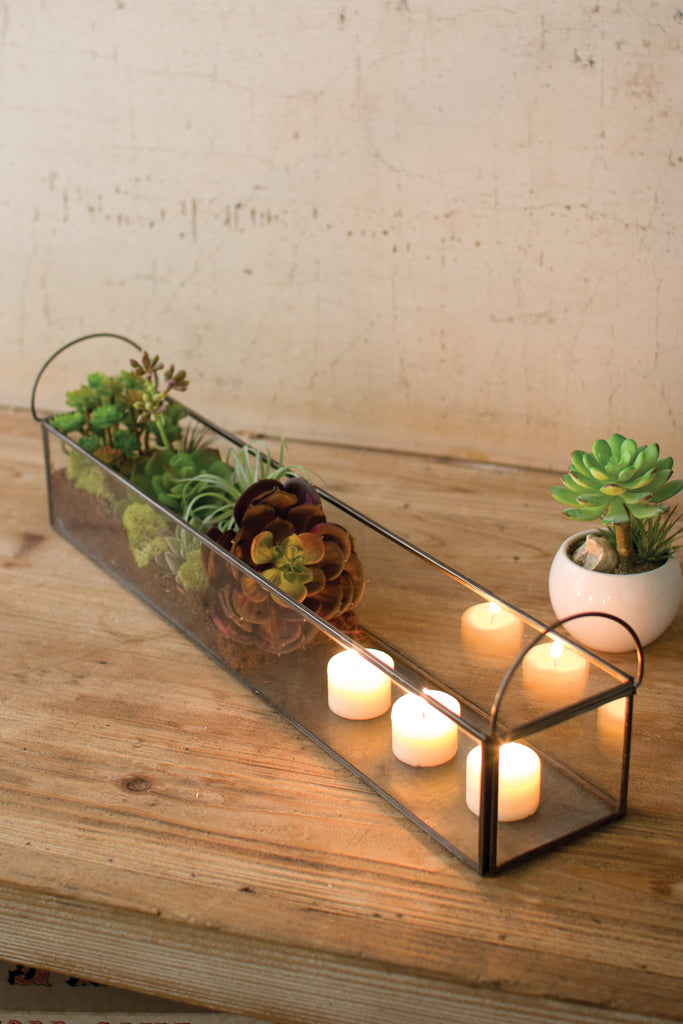 Glass Rectangular Greenhouse Tray - CENTURIA