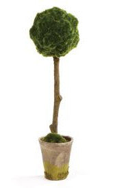 Moss Topiary - CENTURIA