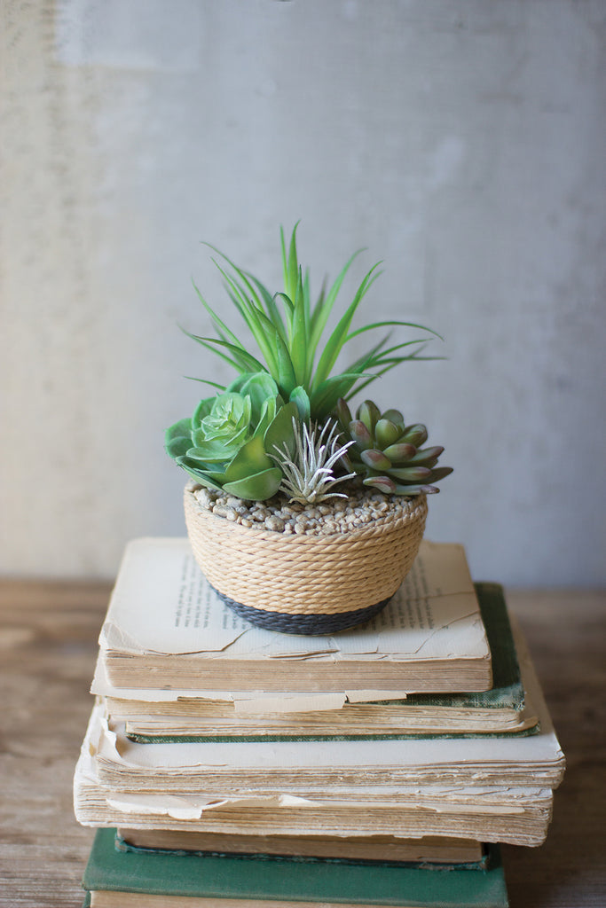 Succulents in Rope Planter - CENTURIA