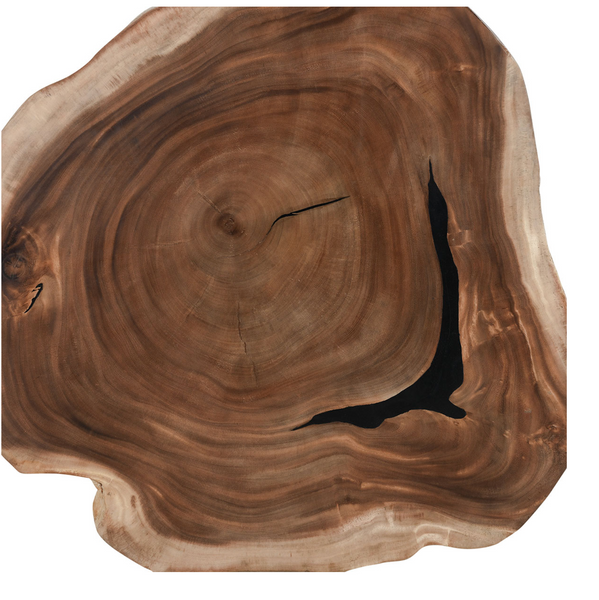 Santi Live Edge Organic Wood Coffee Table