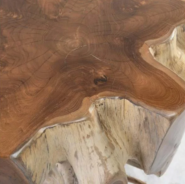 Cristina Organic Teak Root End Table