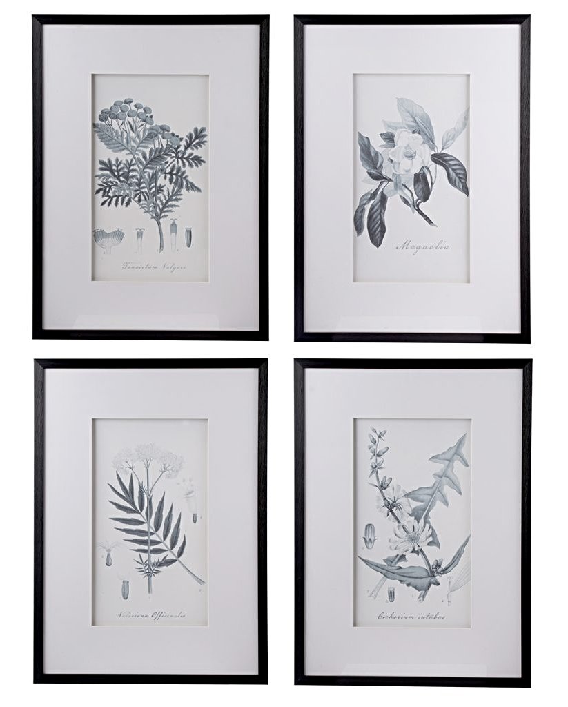 Black and White Vintage Inspired Botanical Prints - CENTURIA