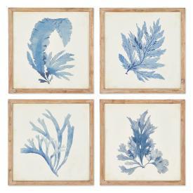 Coral Watercolor Prints-Set/4 - CENTURIA