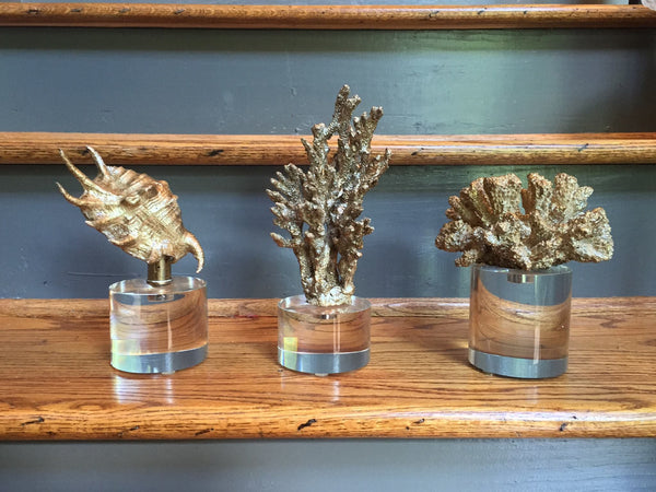 Gold Shell Sculptures-Set/3 - CENTURIA