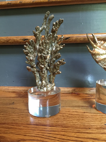 Gold Shell Sculptures-Set/3 - CENTURIA