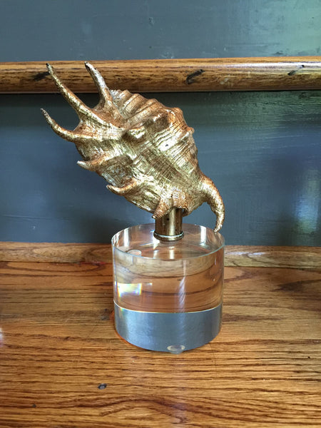 Gold Shell Sculptures-Set/3 - CENTURIA
