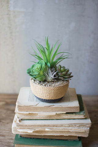 Succulents in Rope Planter - CENTURIA